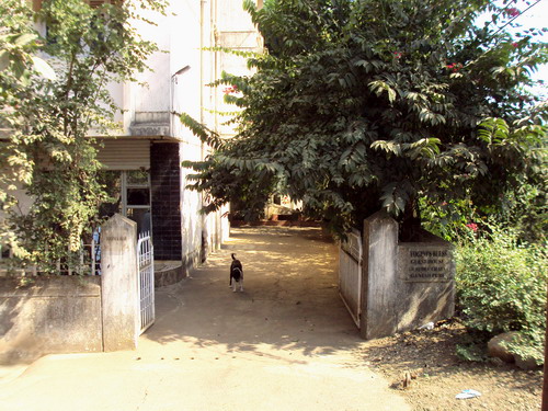 Entry to Yogini's Bliss Guest House